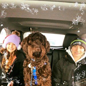 Meet your Posher, Marlene